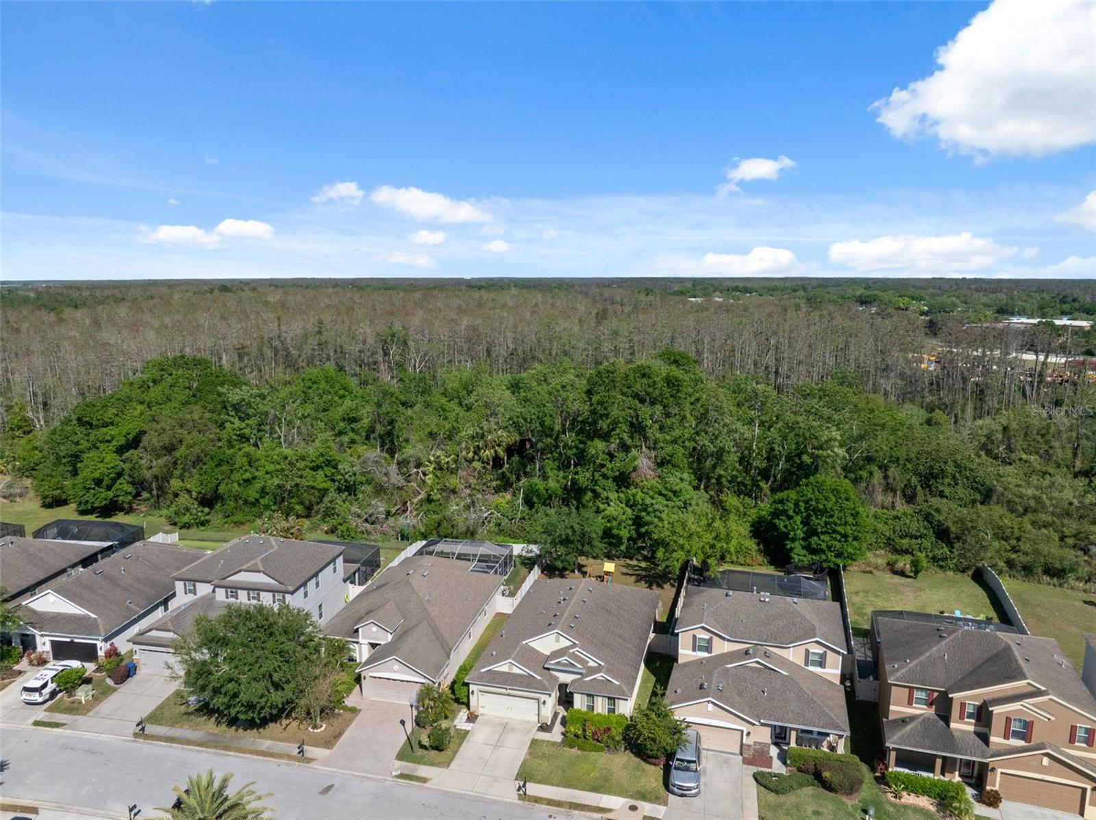 1250 HALAPA WAY, TRINITY, FL, 34655