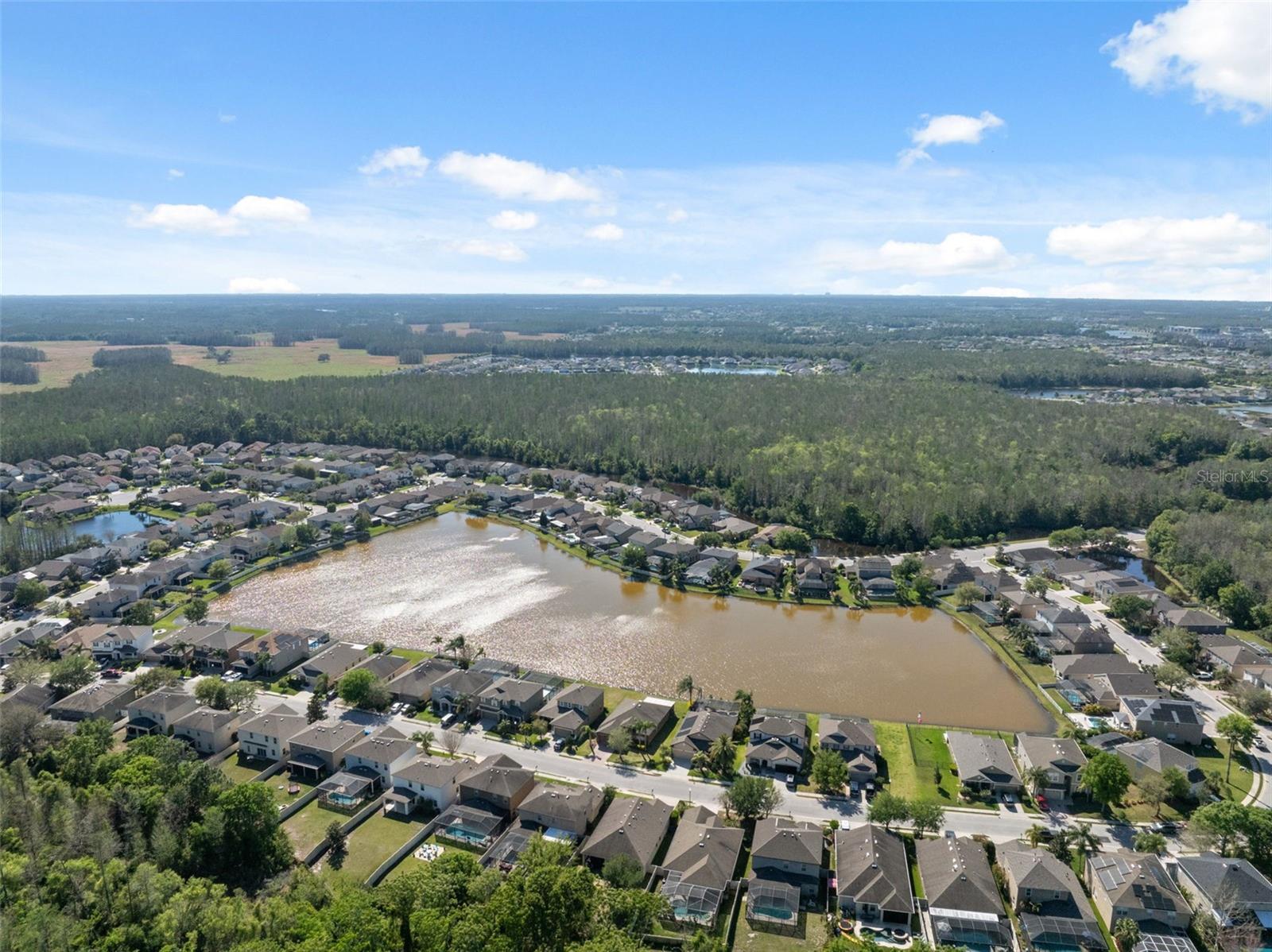 1250 HALAPA WAY, TRINITY, FL, 34655