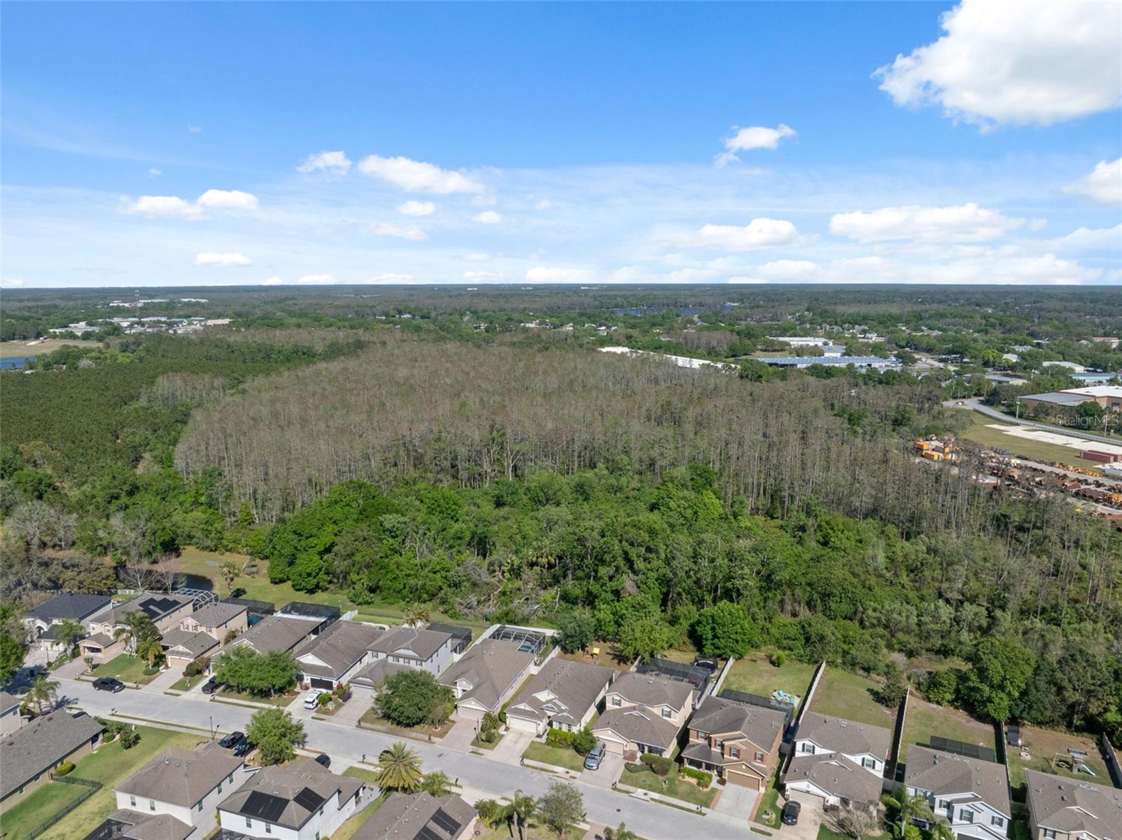 1250 HALAPA WAY, TRINITY, FL, 34655