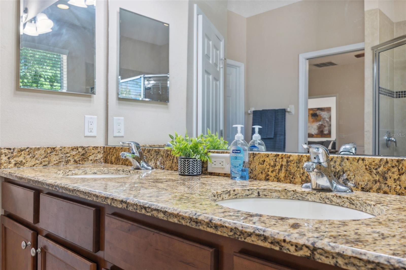 1250 HALAPA WAY, TRINITY, FL, 34655
