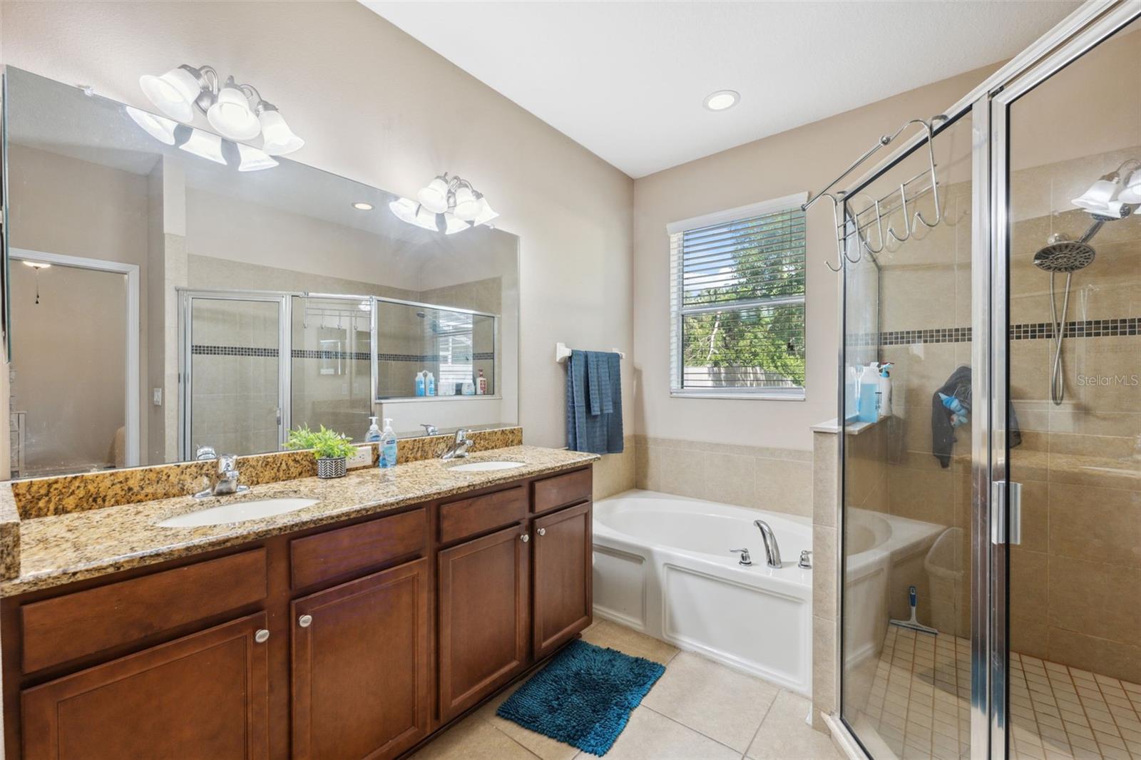 1250 HALAPA WAY, TRINITY, FL, 34655