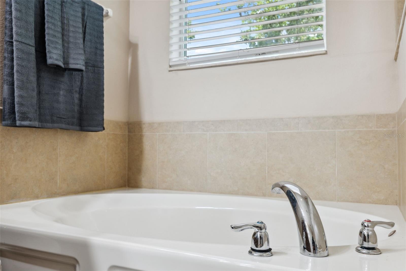 1250 HALAPA WAY, TRINITY, FL, 34655