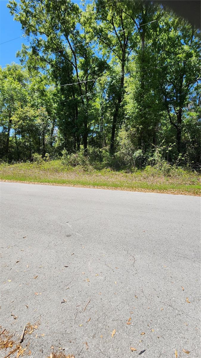 908 N CHARLES AVE, INVERNESS, FL, 34453