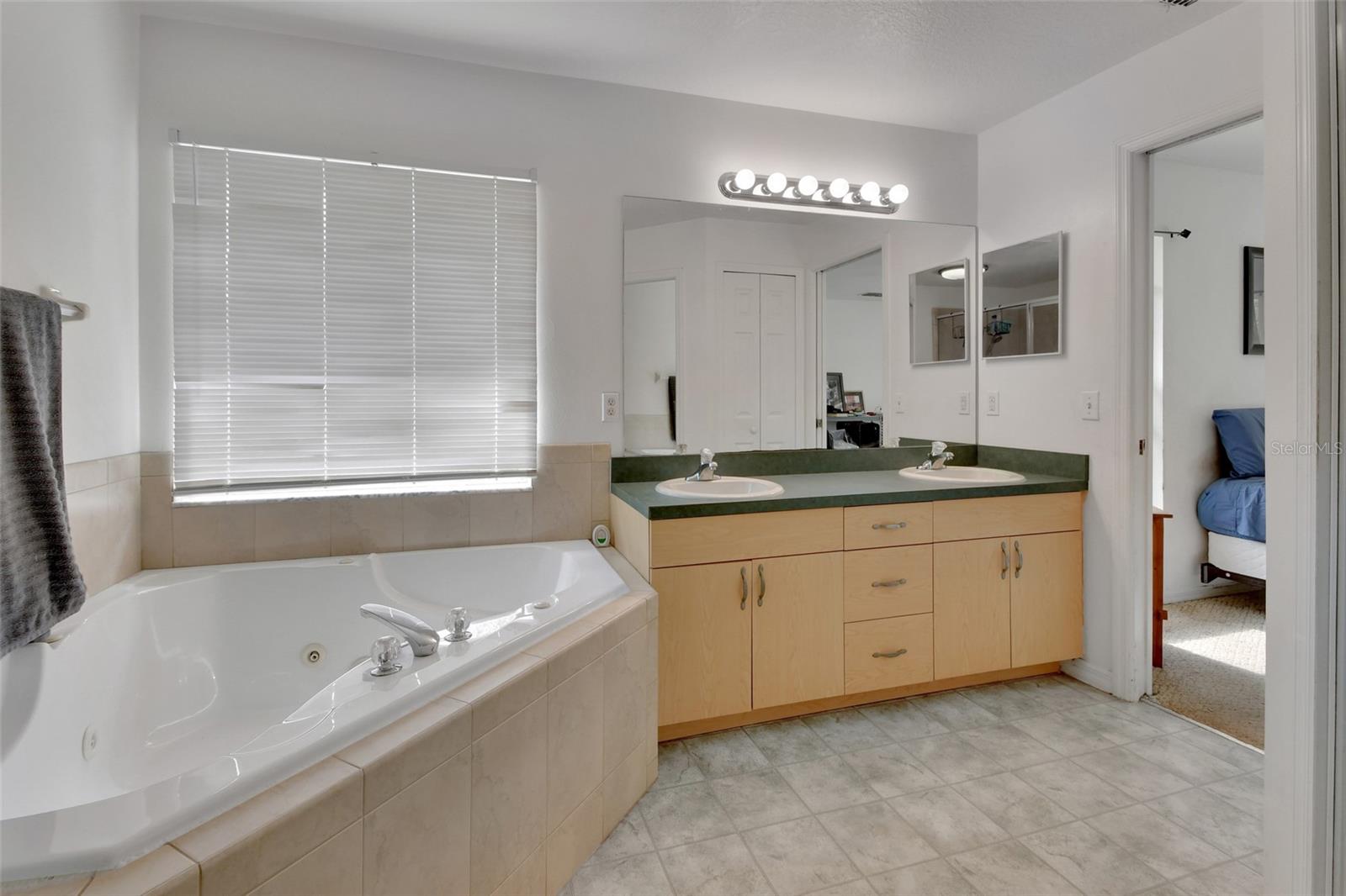 4600 S TOMOKA DR, DE LEON SPRINGS, FL, 32130