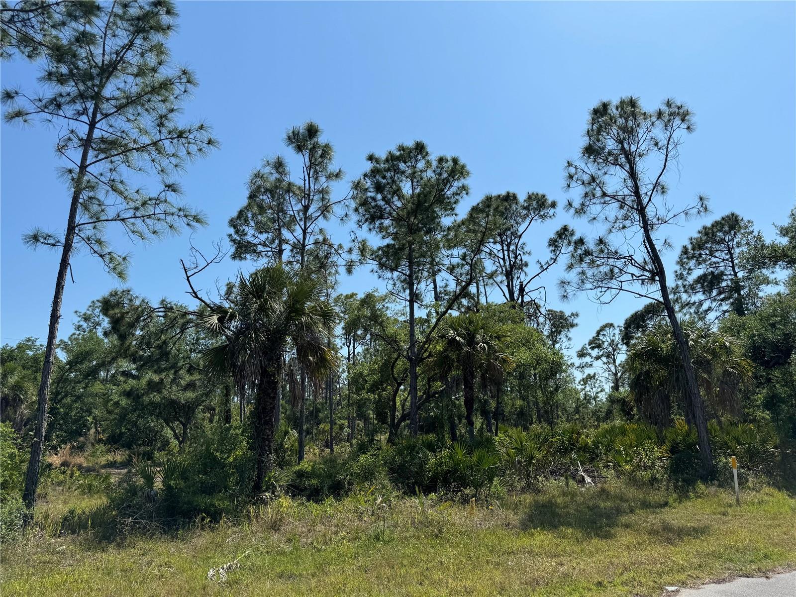 13093 HARBISON AVE, PORT CHARLOTTE, FL, 33953