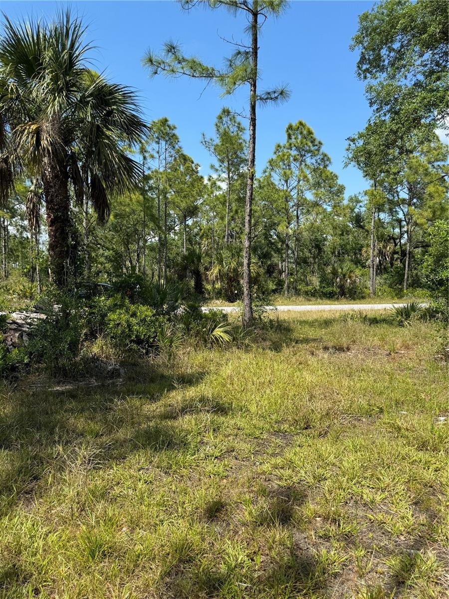13093 HARBISON AVE, PORT CHARLOTTE, FL, 33953