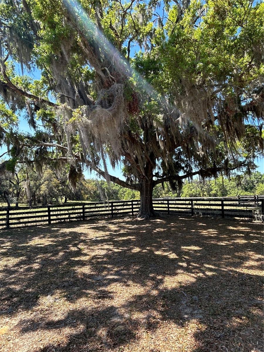 7652 E DERBY OAKS DR, FLORAL CITY, FL, 34436