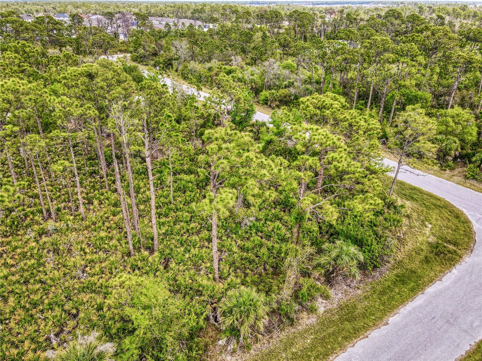 15204 PLANT AVE, PORT CHARLOTTE, FL, 33953