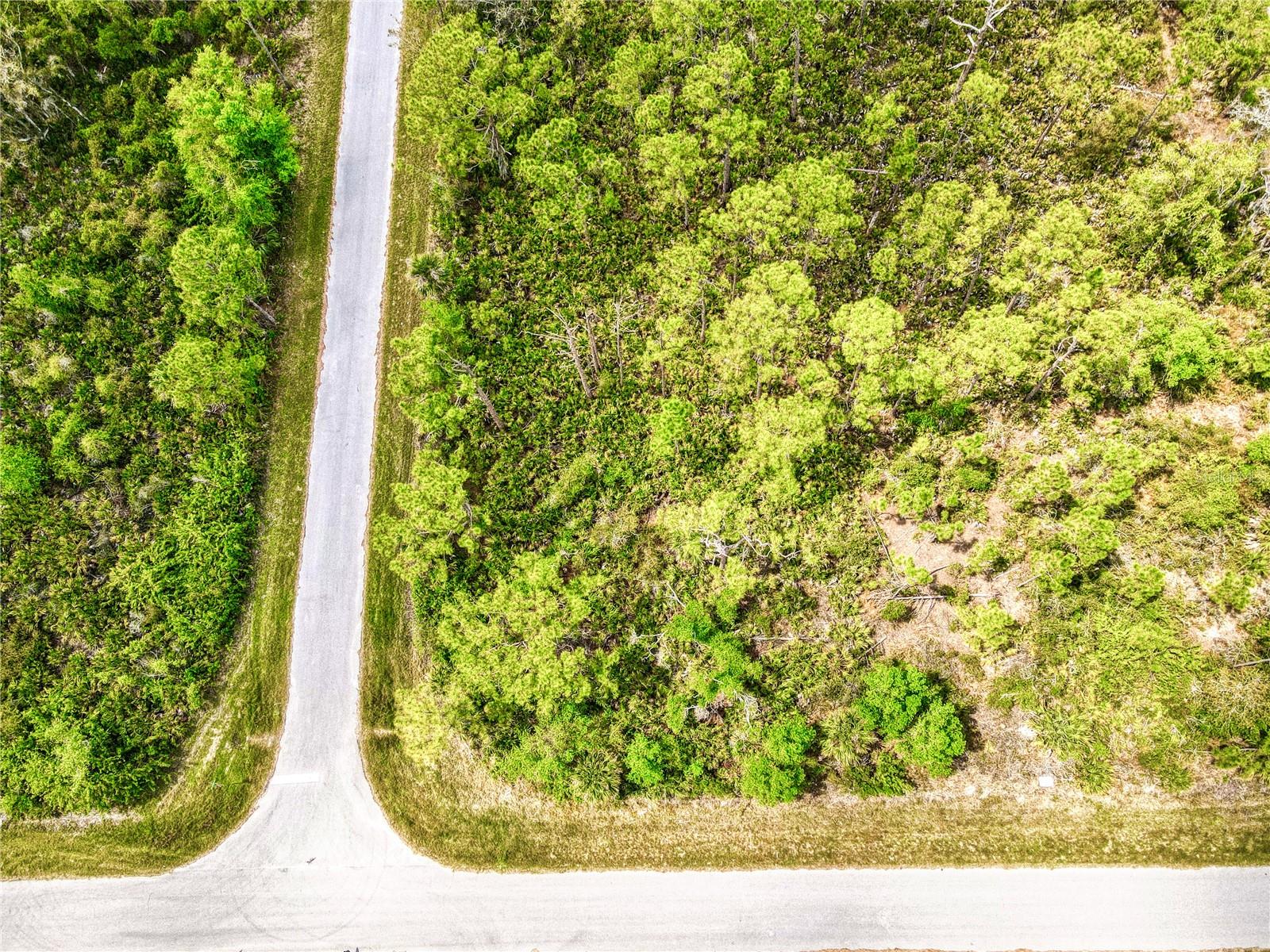 15204 PLANT AVE, PORT CHARLOTTE, FL, 33953