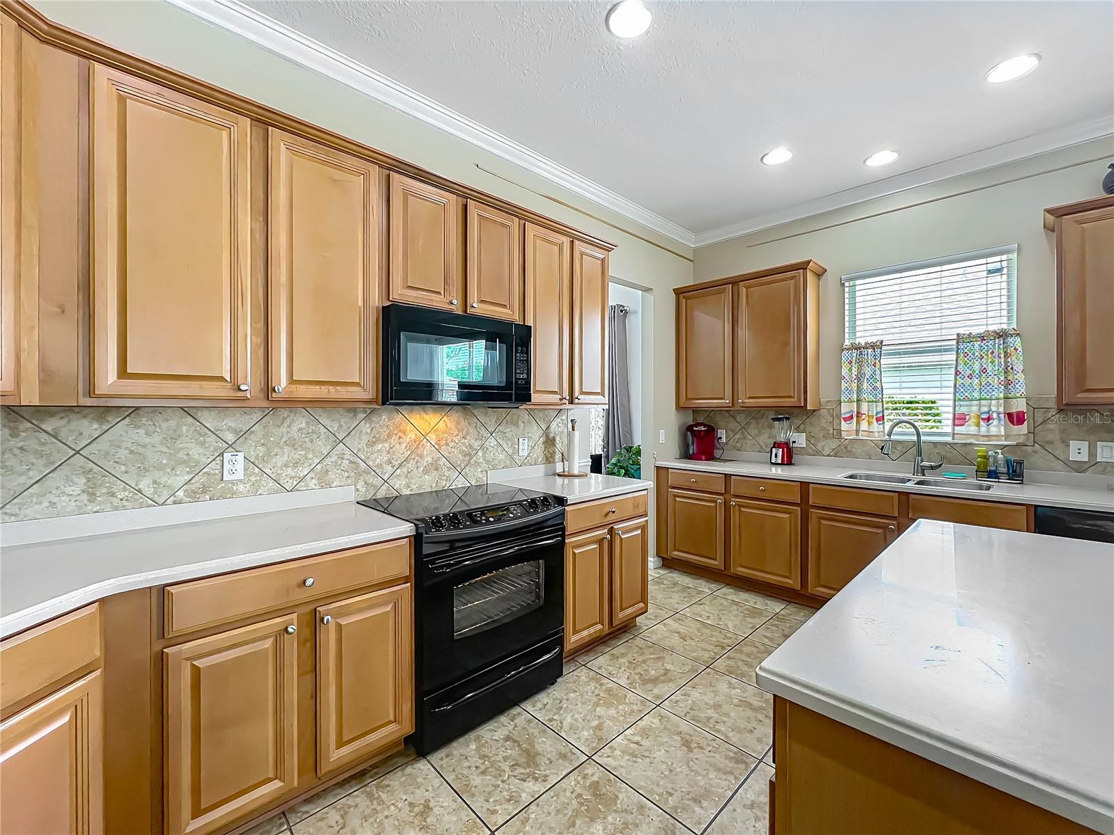 5471 RISHLEY RUN WAY, MOUNT DORA, FL, 32757