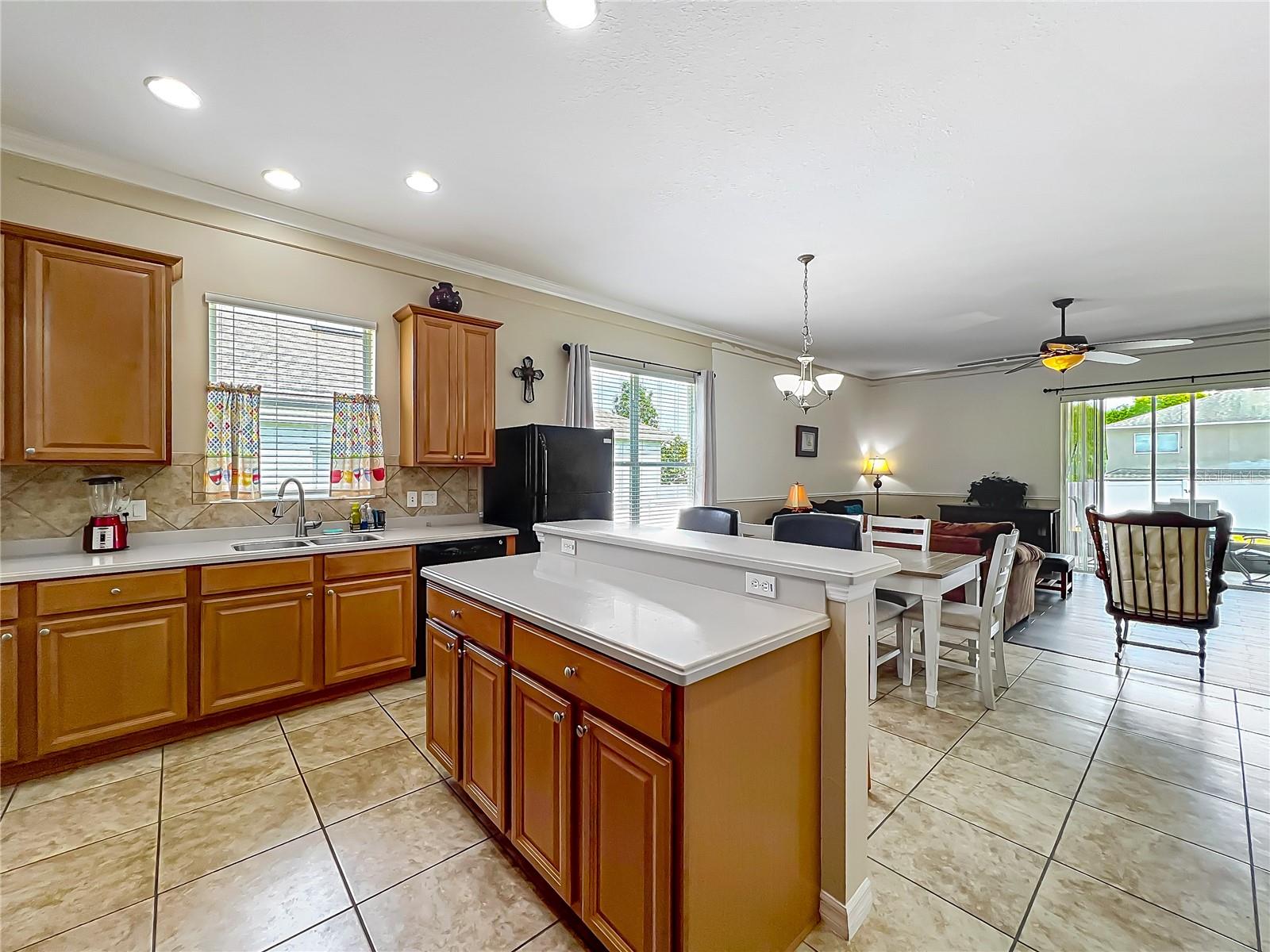 5471 RISHLEY RUN WAY, MOUNT DORA, FL, 32757