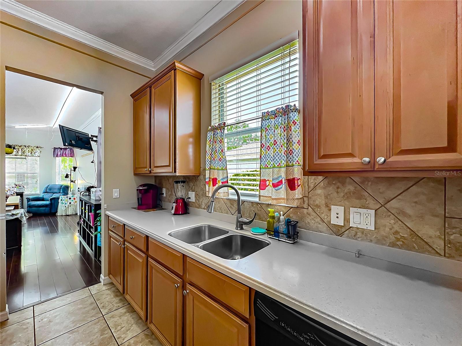 5471 RISHLEY RUN WAY, MOUNT DORA, FL, 32757