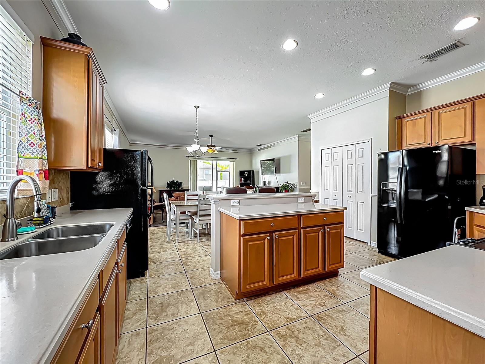 5471 RISHLEY RUN WAY, MOUNT DORA, FL, 32757