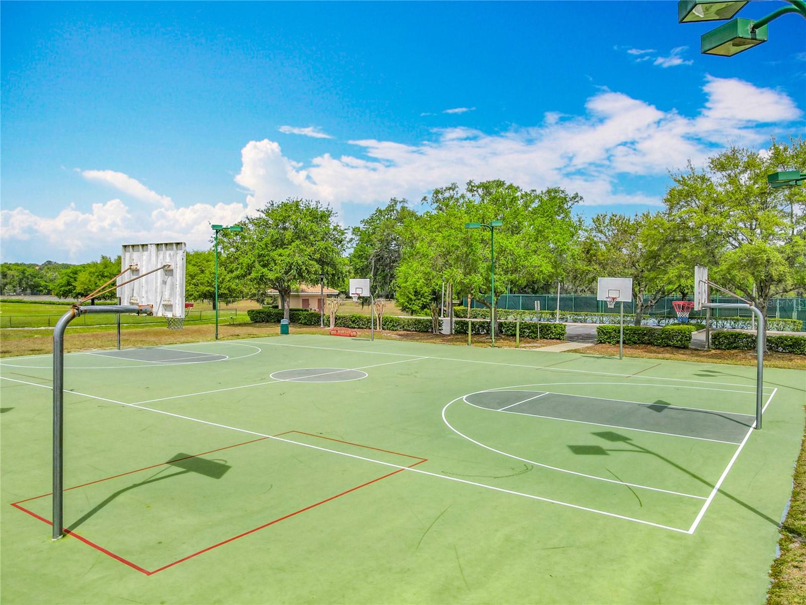 5471 RISHLEY RUN WAY, MOUNT DORA, FL, 32757