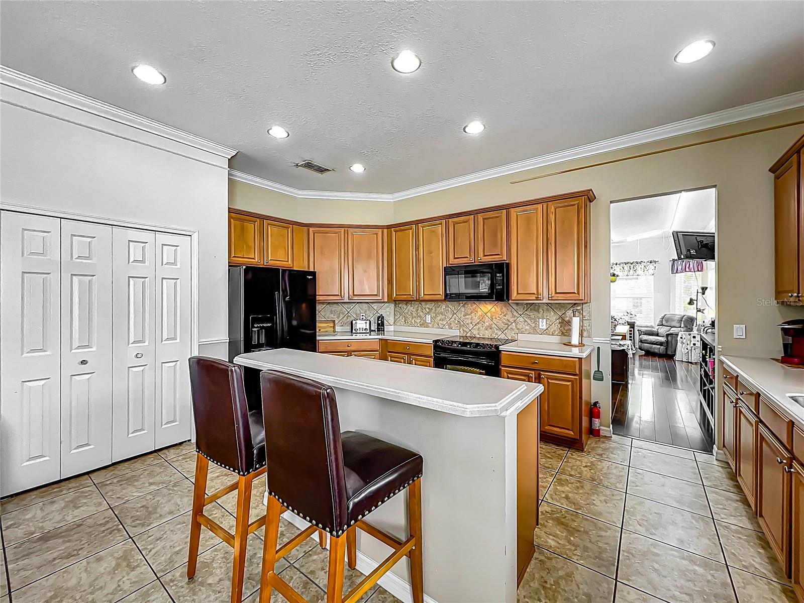 5471 RISHLEY RUN WAY, MOUNT DORA, FL, 32757