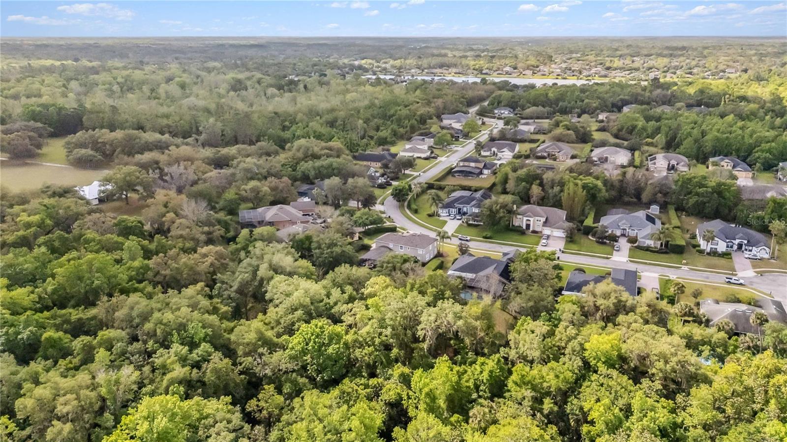 801 GREY HERON PL, CHULUOTA, FL, 32766