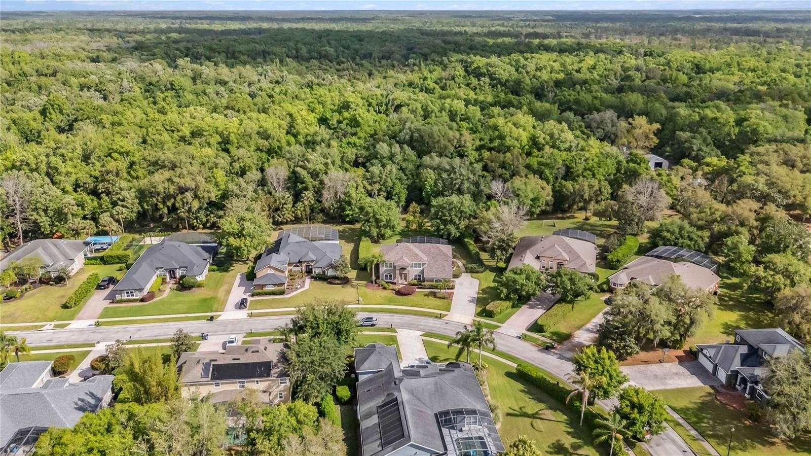 801 GREY HERON PL, CHULUOTA, FL, 32766