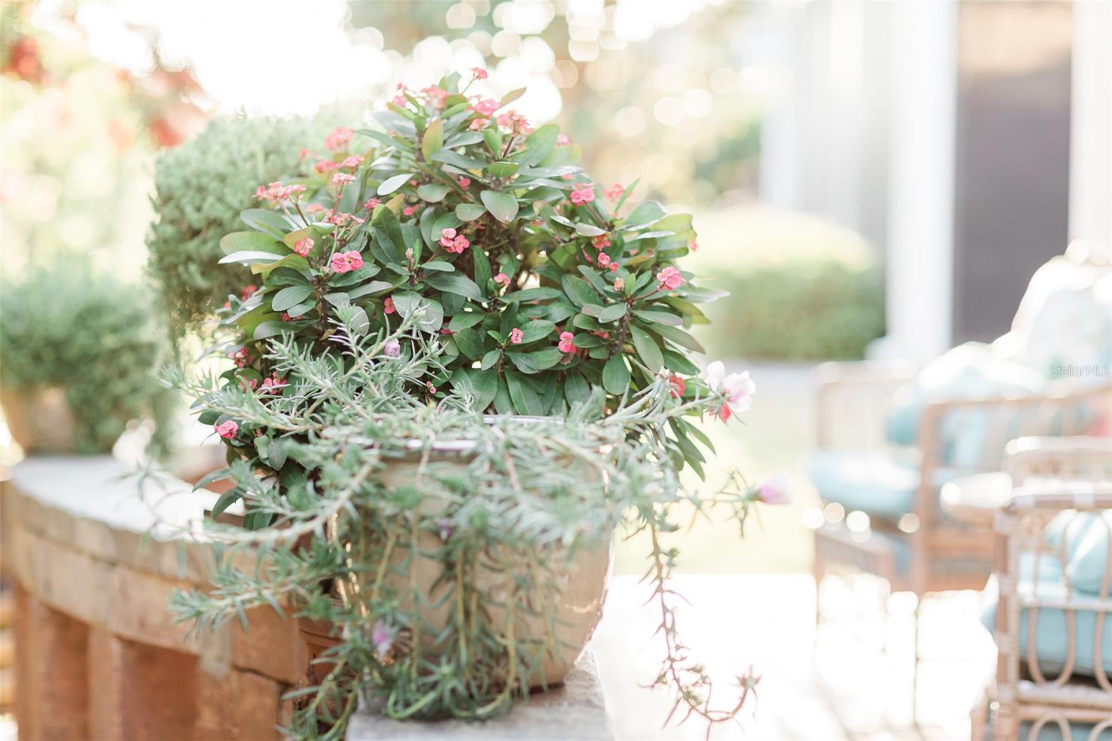 1606 TANGO ST, THE VILLAGES, FL, 32163