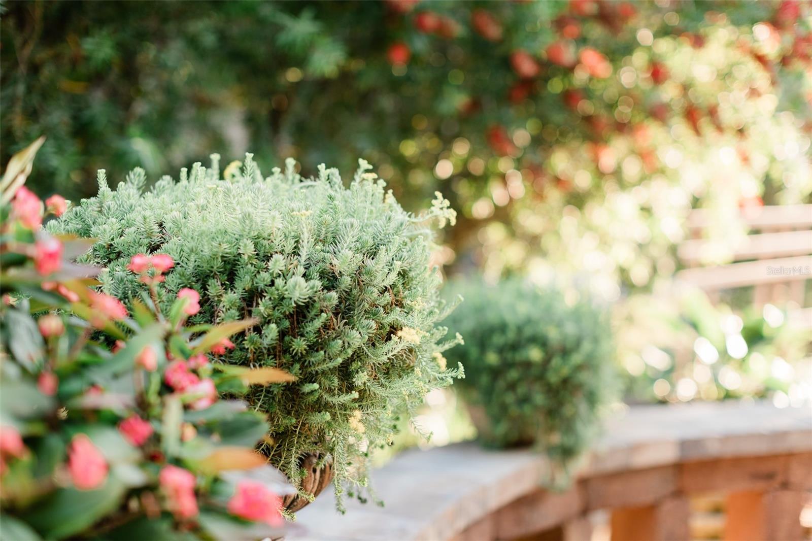 1606 TANGO ST, THE VILLAGES, FL, 32163