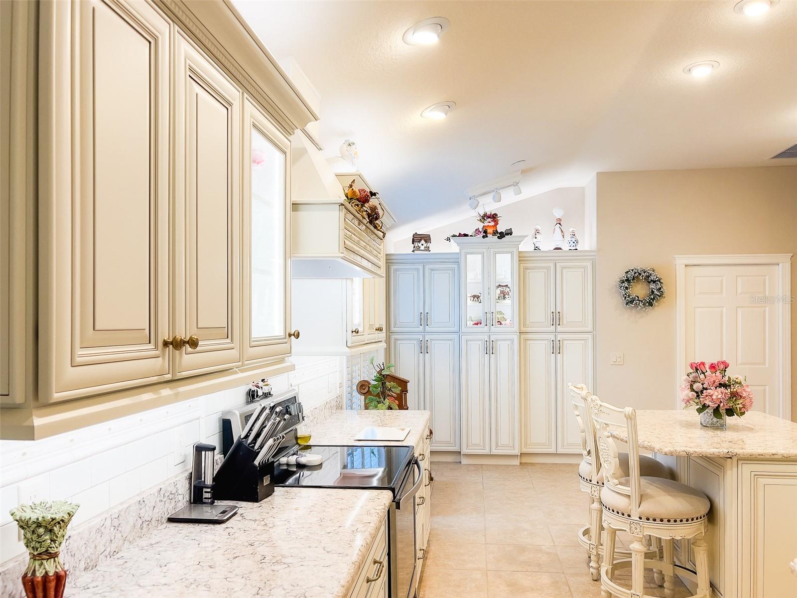 1606 TANGO ST, THE VILLAGES, FL, 32163