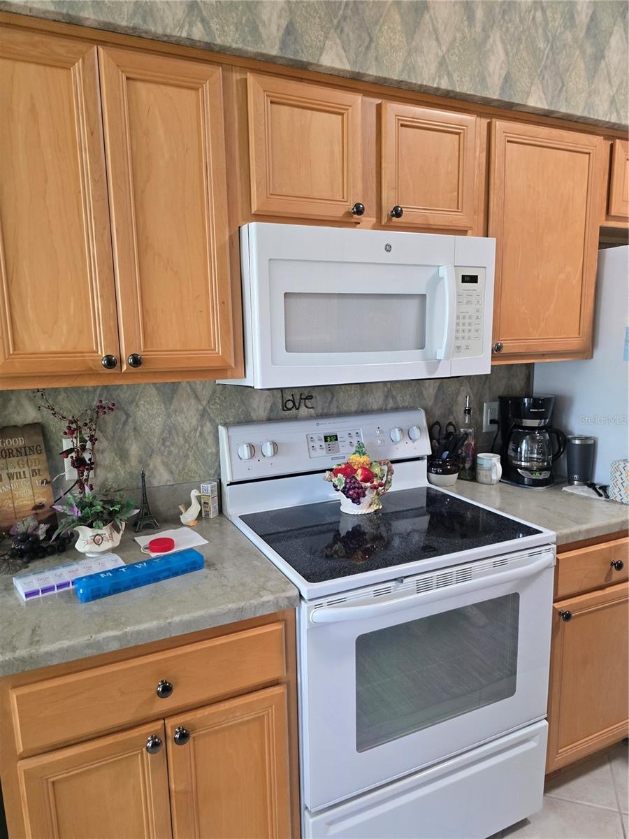 5008 SAWGRASS LAKE CIR, LEESBURG, FL, 34748