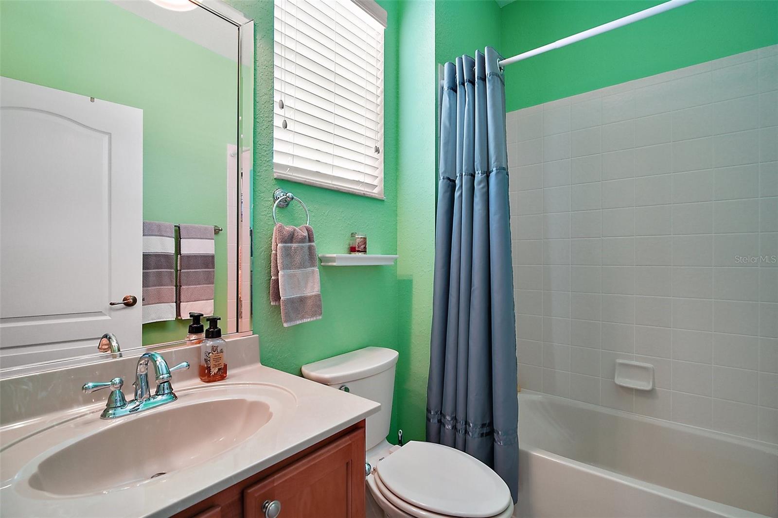 971 CARIBOU WAY, THE VILLAGES, FL, 32162