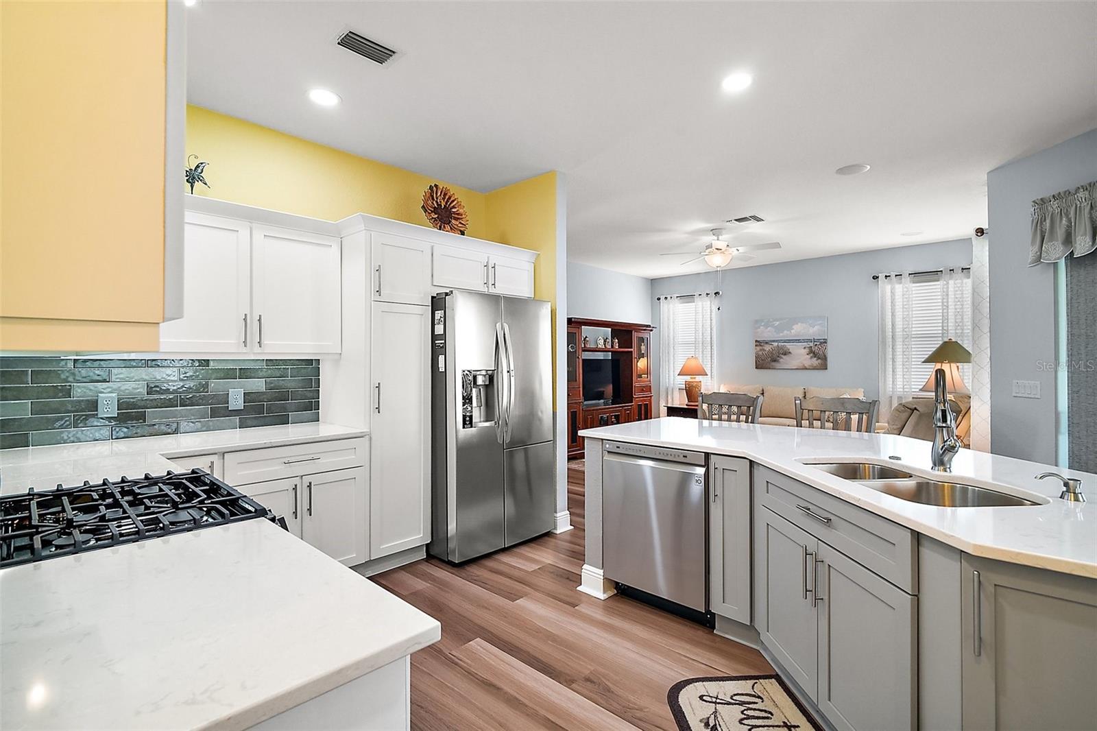 971 CARIBOU WAY, THE VILLAGES, FL, 32162