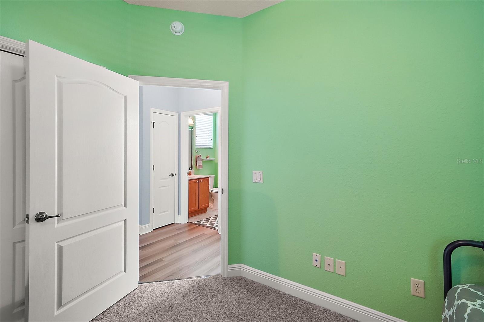 971 CARIBOU WAY, THE VILLAGES, FL, 32162