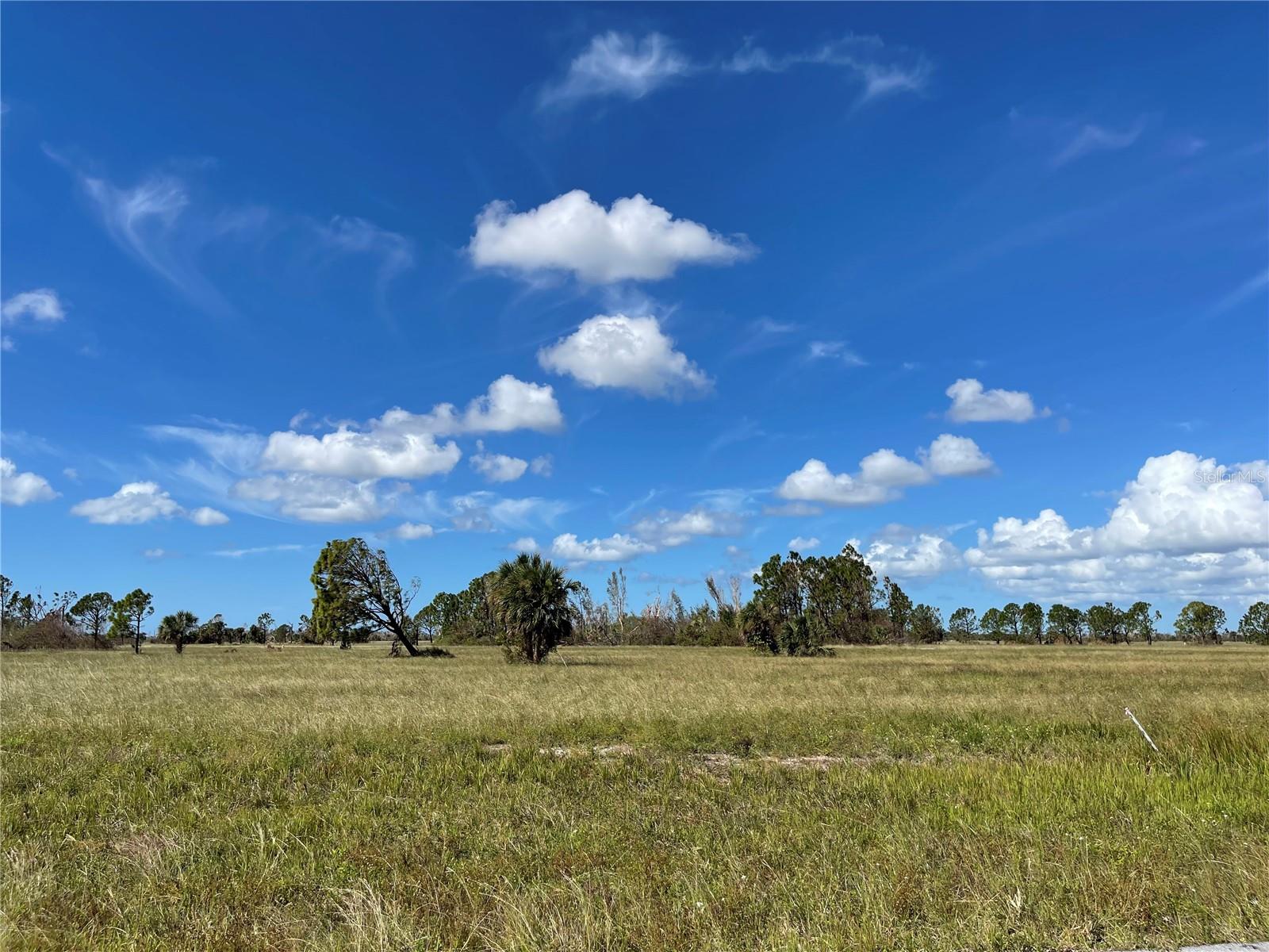 12455 BLUE MARLIN RD, PLACIDA, FL, 33946