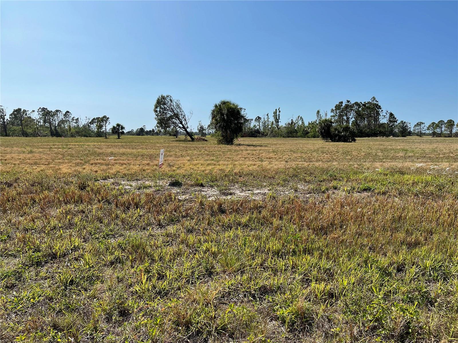 12455 BLUE MARLIN RD, PLACIDA, FL, 33946