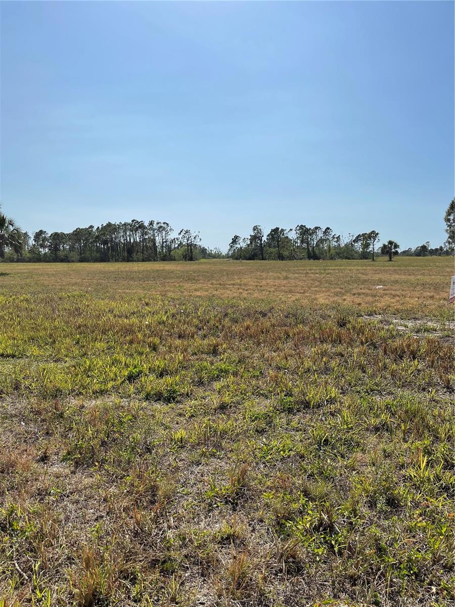 12455 BLUE MARLIN RD, PLACIDA, FL, 33946