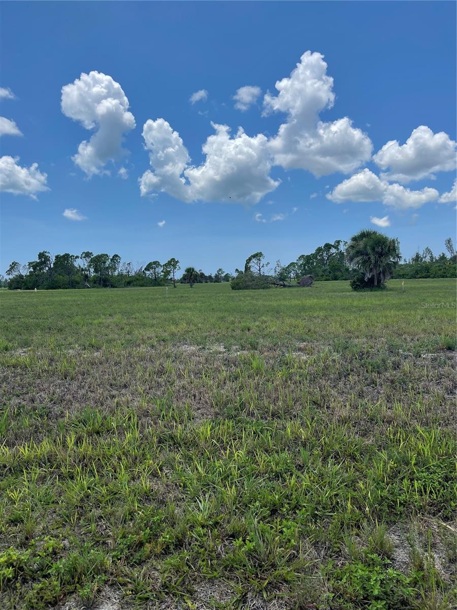 12455 BLUE MARLIN RD, PLACIDA, FL, 33946
