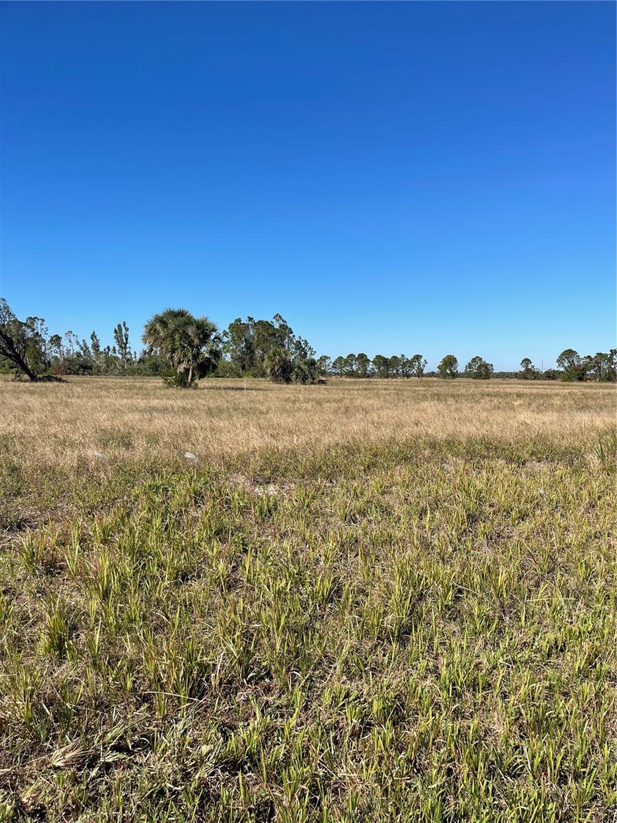12455 BLUE MARLIN RD, PLACIDA, FL, 33946