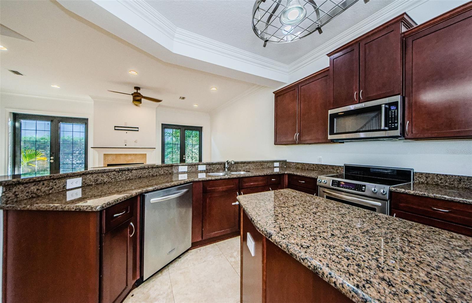 3810 VILLAS DEL SOL CT, TAMPA, FL, 33609
