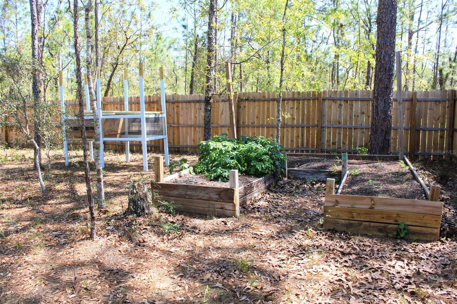 15186 DUCK HAWK RD, WEEKI WACHEE, FL, 34614