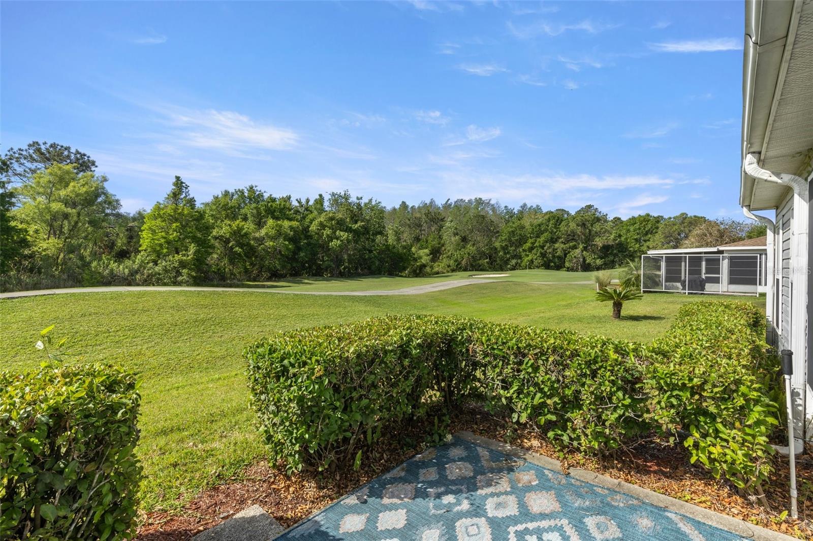 29408 PRINCEVILLE DR, SAN ANTONIO, FL, 33576
