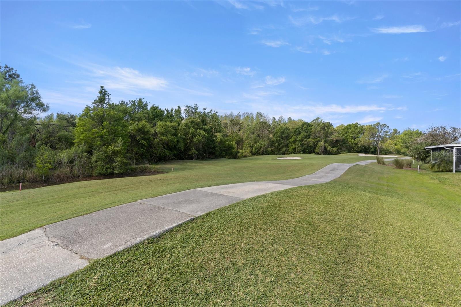 29408 PRINCEVILLE DR, SAN ANTONIO, FL, 33576