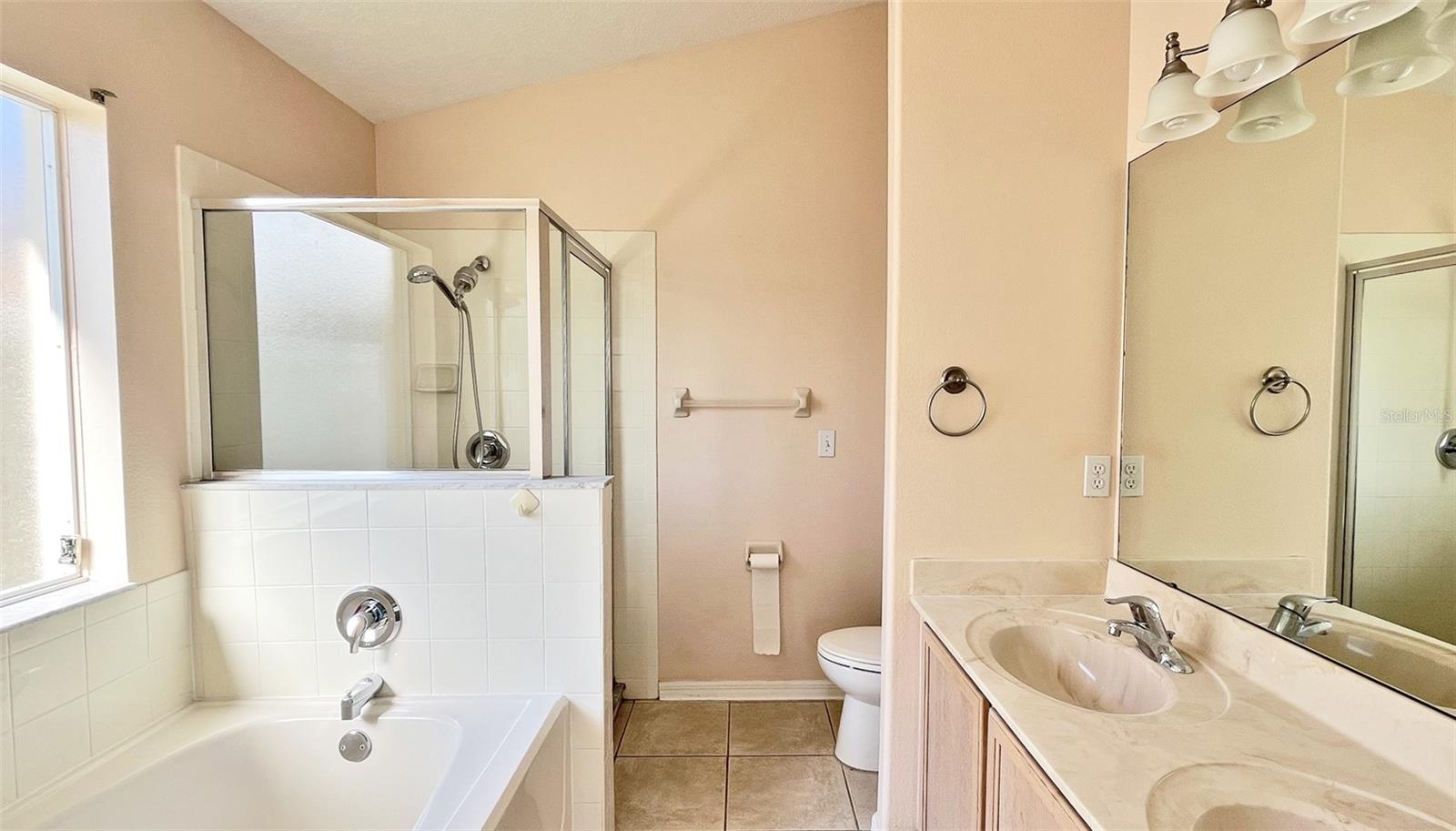 337 SILVER PALMS CIR, DAVENPORT, FL, 33837