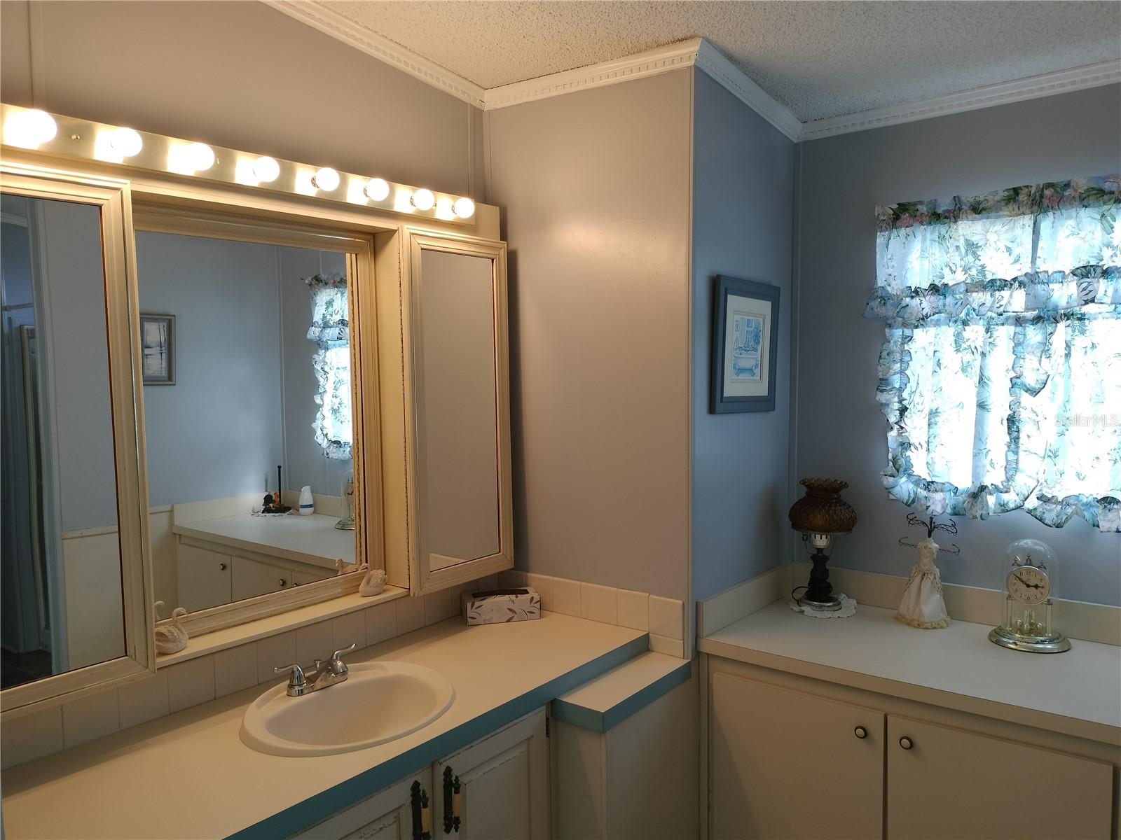 3114 BRIAR ST. ST, WESLEY CHAPEL, FL, 33543