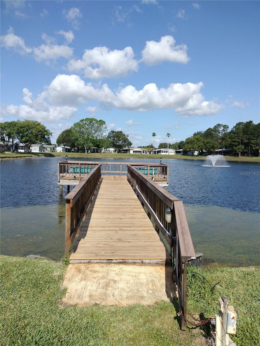 3114 BRIAR ST. ST, WESLEY CHAPEL, FL, 33543