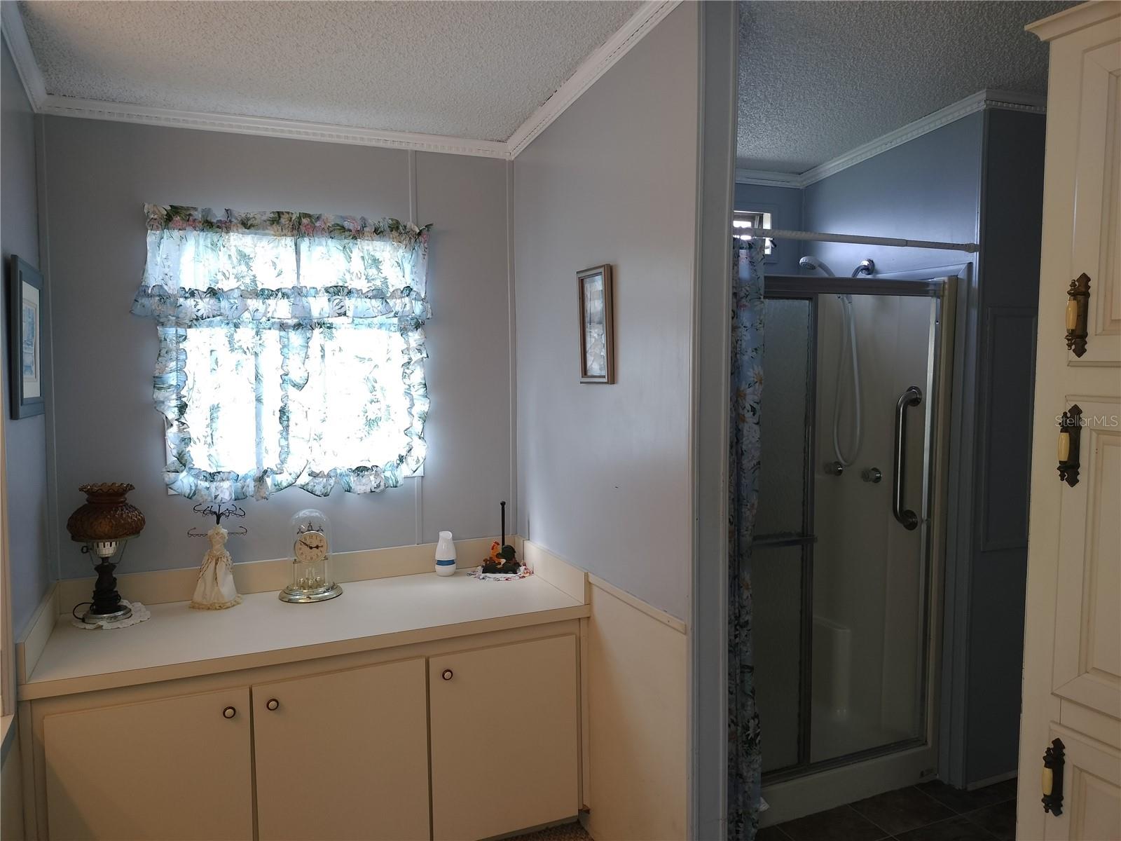 3114 BRIAR ST. ST, WESLEY CHAPEL, FL, 33543