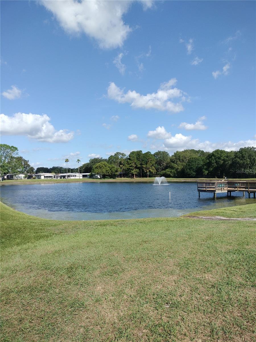 3114 BRIAR ST. ST, WESLEY CHAPEL, FL, 33543