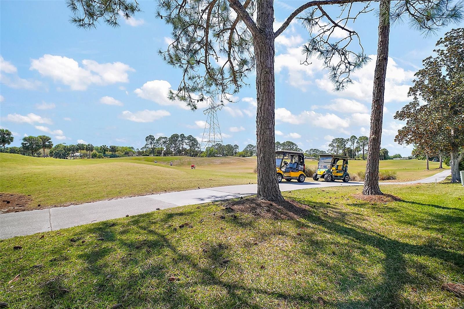 2142 MARGARITA DR, THE VILLAGES, FL, 32159