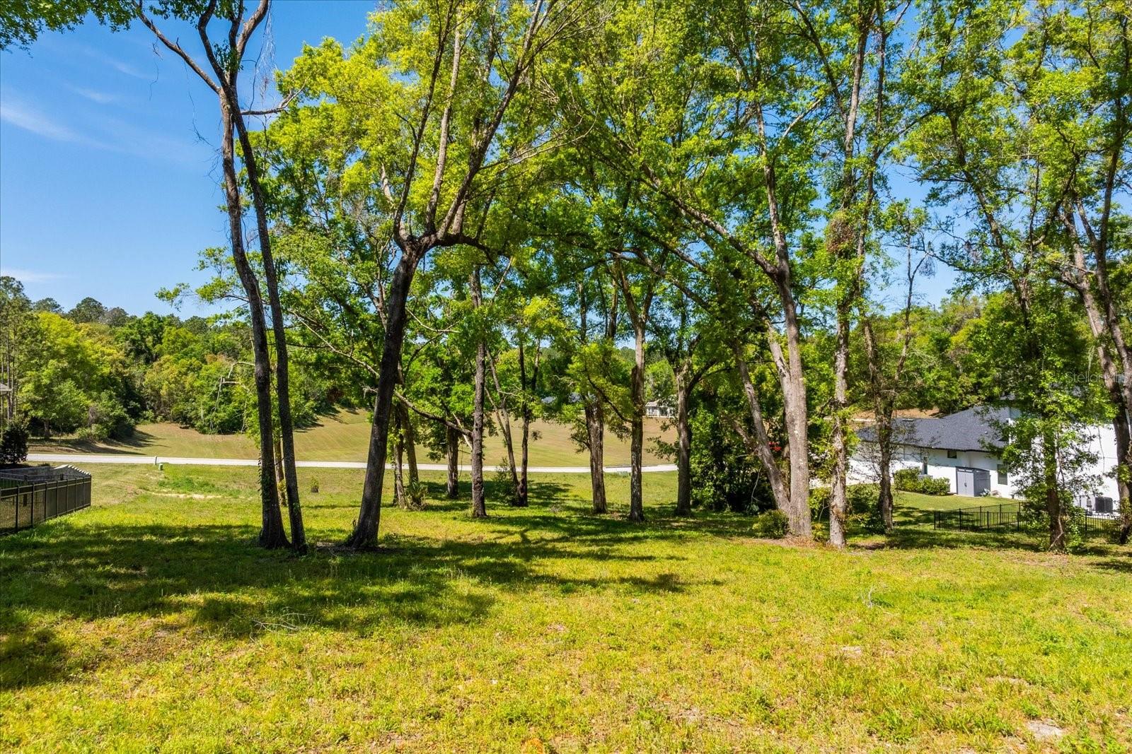 7041 NORNE LN, MOUNT DORA, FL, 32757