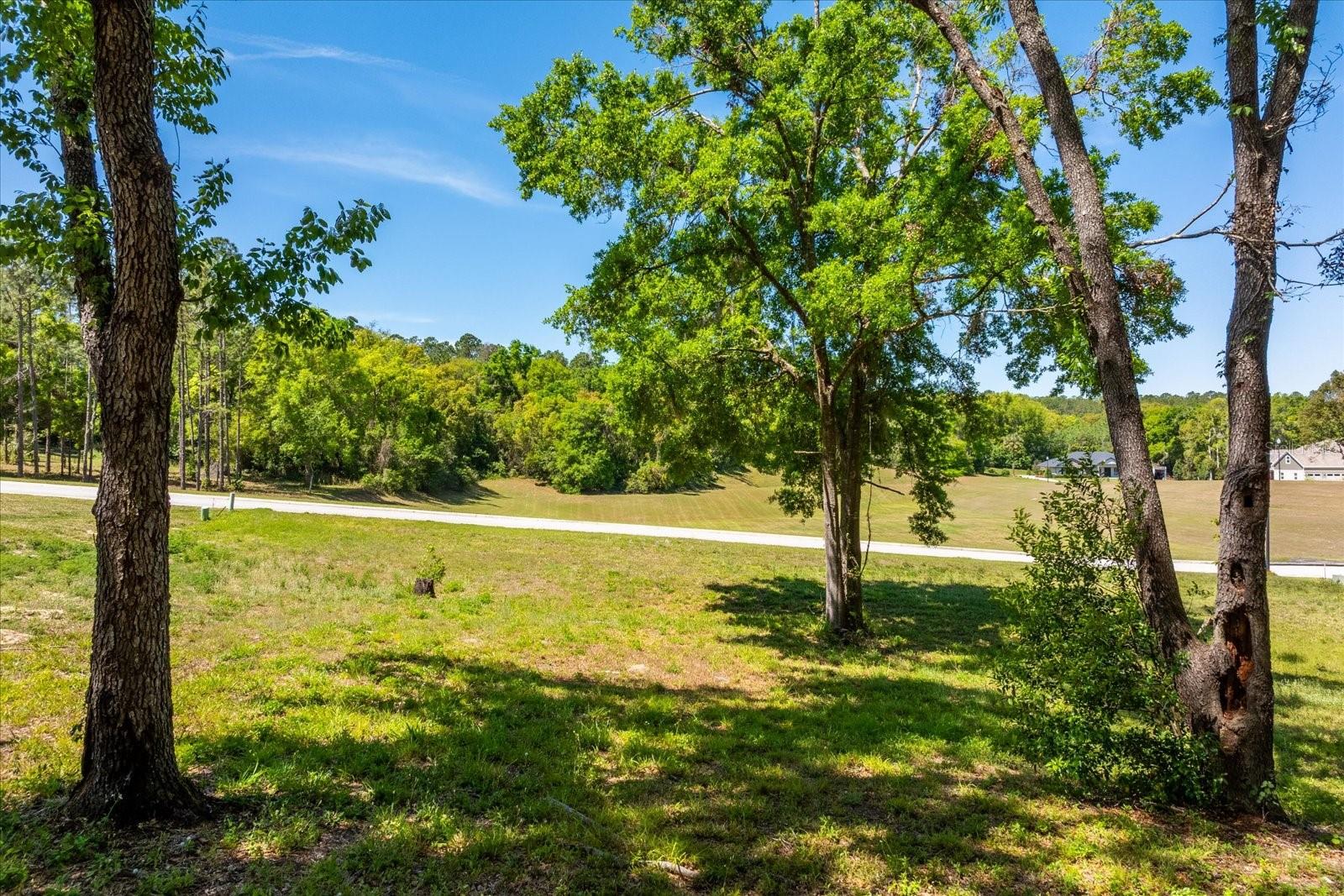 7041 NORNE LN, MOUNT DORA, FL, 32757