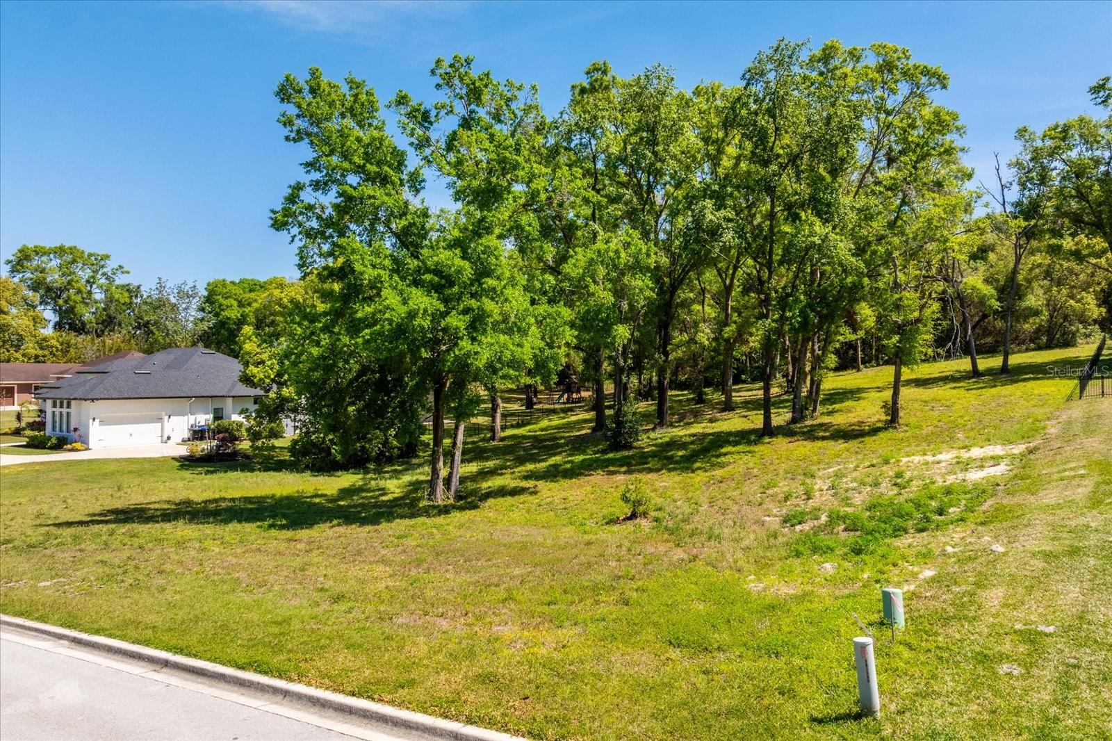 7041 NORNE LN, MOUNT DORA, FL, 32757