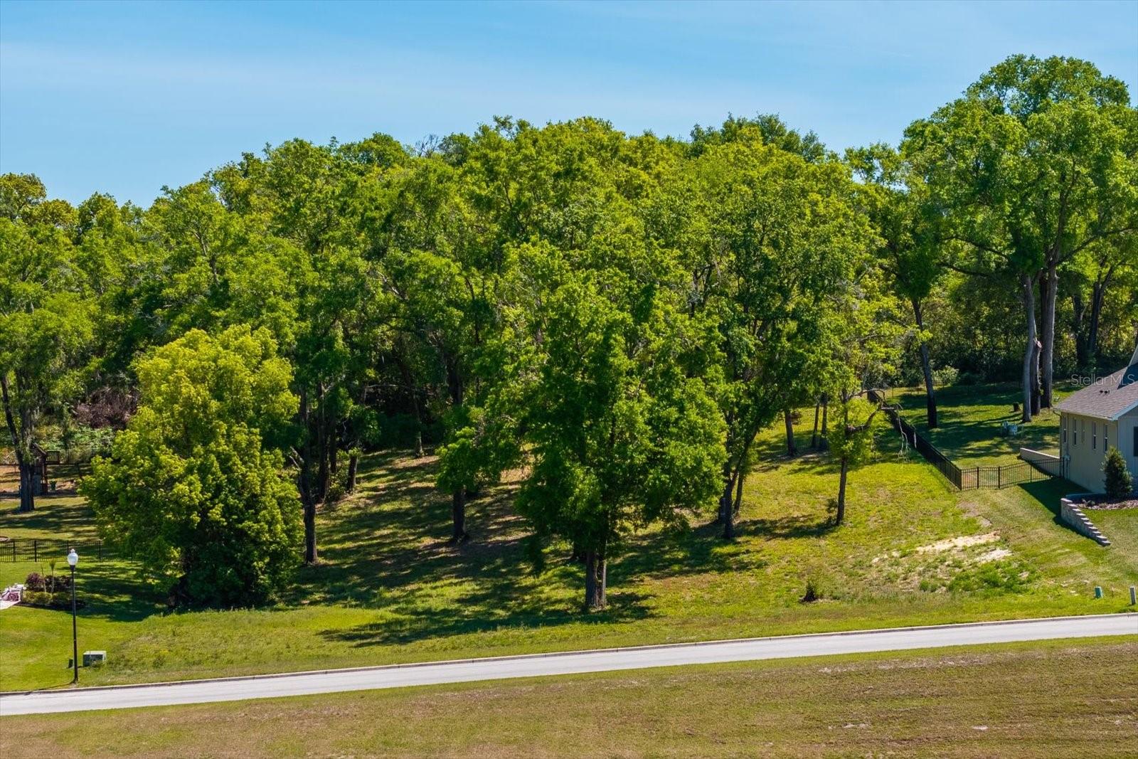 7041 NORNE LN, MOUNT DORA, FL, 32757