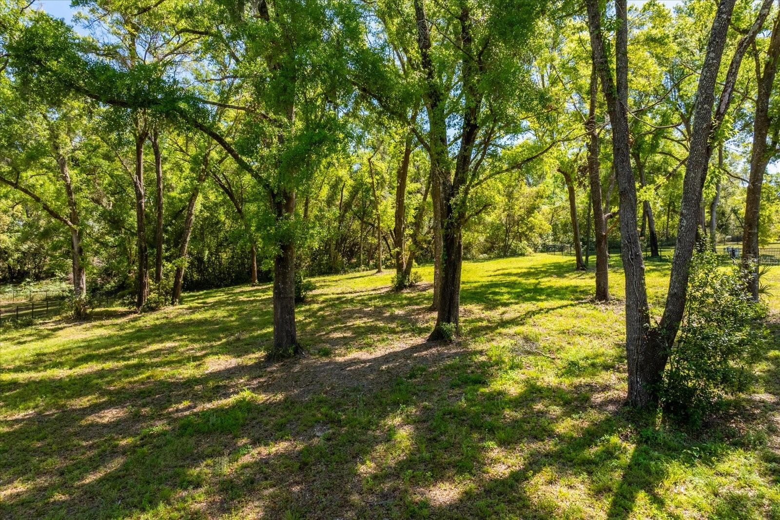 7041 NORNE LN, MOUNT DORA, FL, 32757