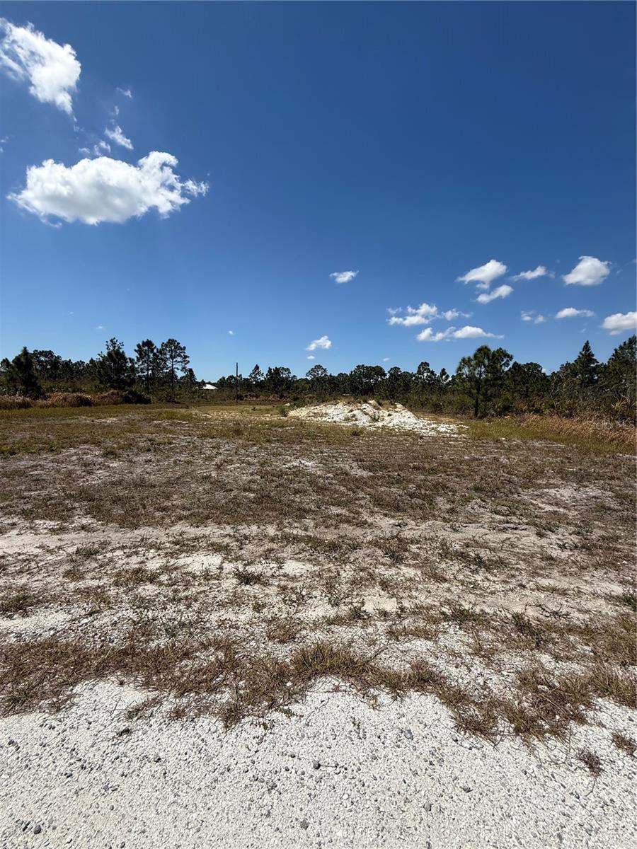 1319 STATE AVE, LEHIGH ACRES, FL, 33972