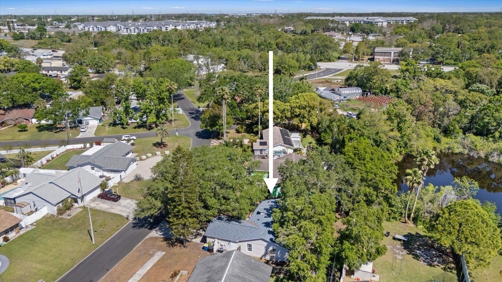 1849 DIANE DR, CLEARWATER, FL, 33759